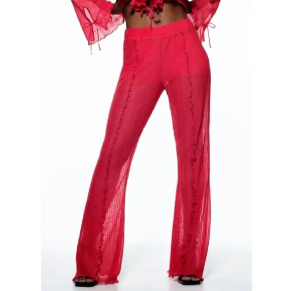 NWT Zara Crinkled Sheer Wide Leg Flowy Pant Size M - Picture 1 of 9